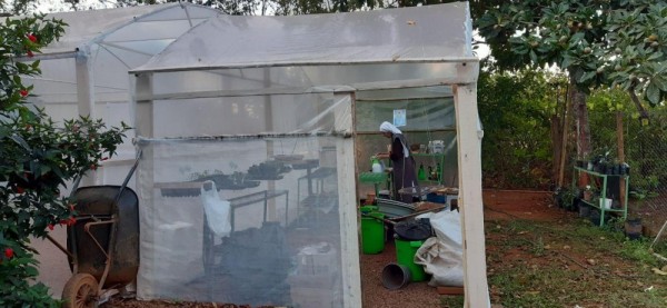 Núcleo-Luz em Brasília inicia hortas orgânicas
