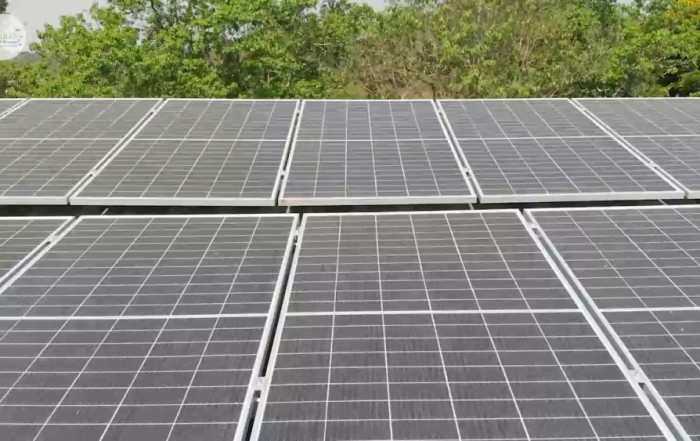 Instalação de placas fotovoltaicas no Parque Francisco de Assis